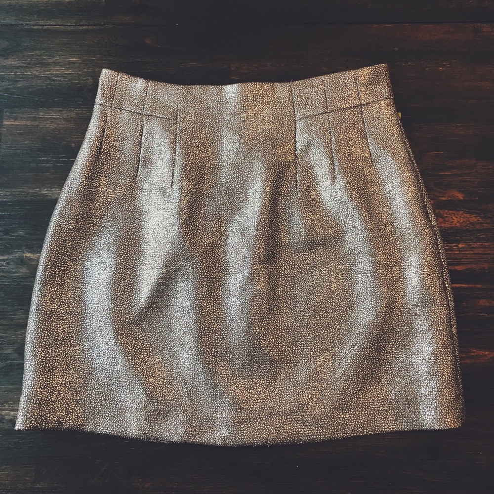 H & M Metallic Mini Skirt
